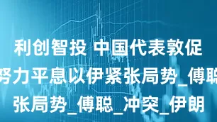 利创智投 中国代表敦促国际社会努力平息以伊紧张局势_傅聪_冲突_伊朗