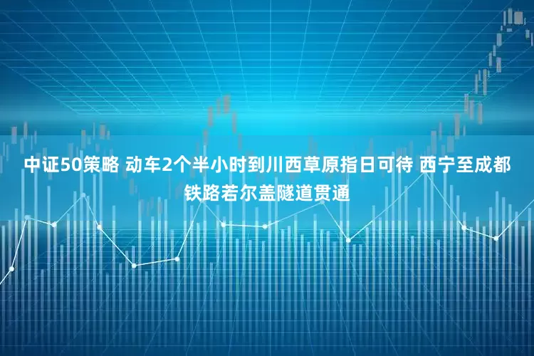 中证50策略 动车2个半小时到川西草原指日可待 西宁至成都铁路若尔盖隧道贯通
