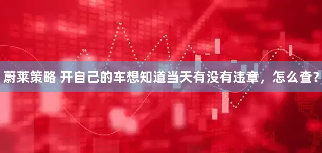 蔚莱策略 开自己的车想知道当天有没有违章，怎么查？