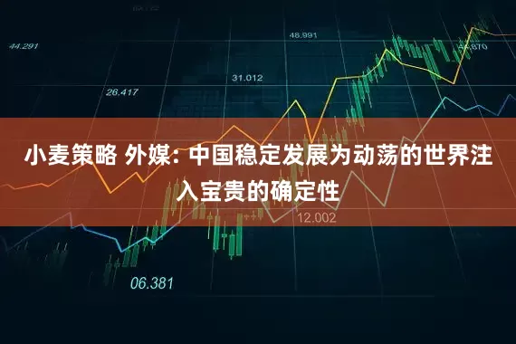 小麦策略 外媒: 中国稳定发展为动荡的世界注入宝贵的确定性